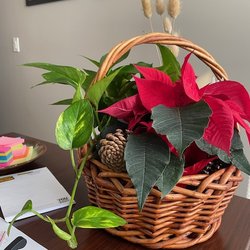 Aunt Bee's Floral Garden Center & Gifts - This is what $128.10 gets you in Marion KS.