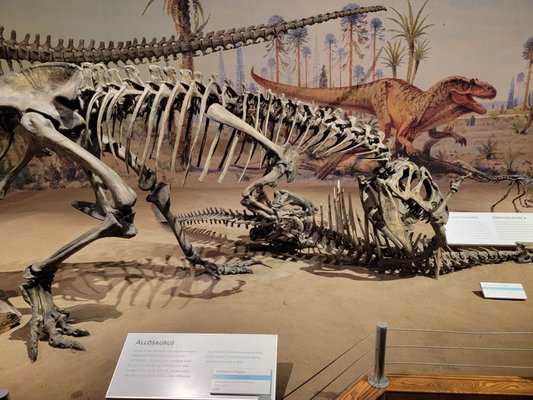Royal Tyrrell Museum by null