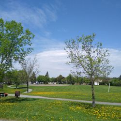 Barnabe Park - Lots of green space