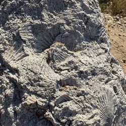 Chumash Trail