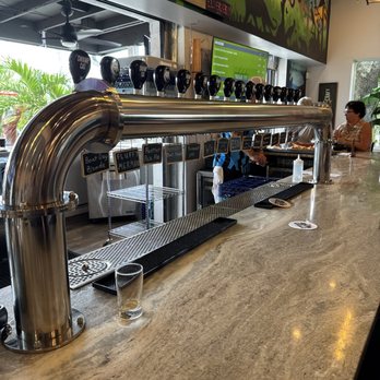 Swamp Cat Brew - Taps - Breweries Near Me - Fort Myers, Florida