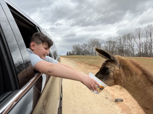 LAZY 5 RANCH - Updated February 2026 - 895 Photos & 306 Reviews - 15100 ...