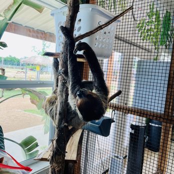North Texas Safari Park - Zoos Near Me - Bonham, Texas