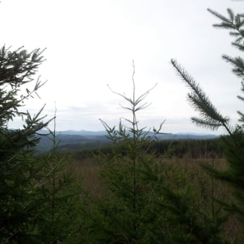 Stub Stewart State Park - Viewpoint on unfit for settlement trail - Parks Near Me - Buxton, Oregon