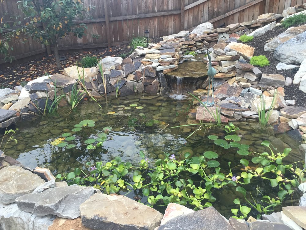 THE POND LADY 255 Rock Point Rd, Marietta, Pennsylvania Nurseries