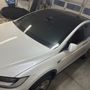 Tint Champion