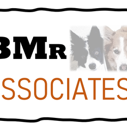 BMR Associates - Commitment to training excellence