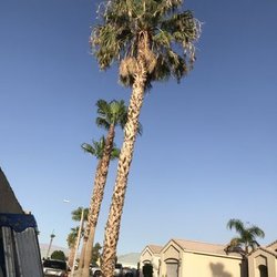 A Ramirez Gardening and Landscaping
