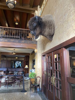 Ted's Montana Grill by null