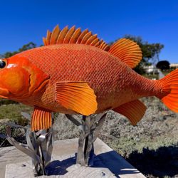 Sculpture in Civic Center Park Exhibition - "Tulip the Rockfish"