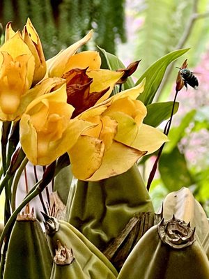 Vallarta Botanical Gardens AC by null