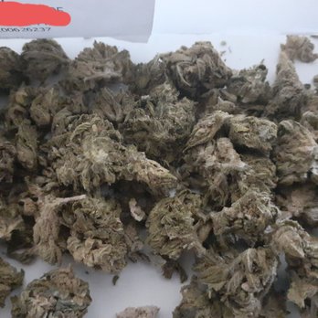 Cookies - Some DRY ass medicine.  Strain: S/hybrid  $60 1/2 oz of LEMON DIESEL. - Cannabis Clinics Near Me - Tempe, Arizona