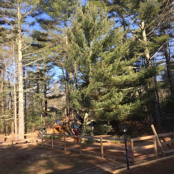 Warwick Tree Service - Tree Services Near Me - Coventry, Rhode Island
