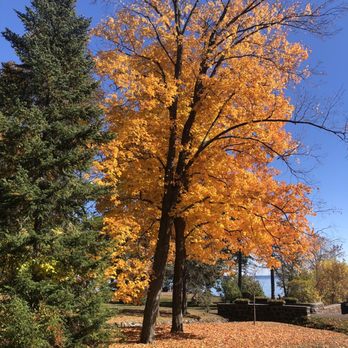 Glensheen - Gorgeous fall colors - Landmarks & Historical Buildings Near Me - Duluth, Minnesota