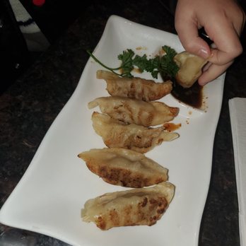 Sakura - Fried Dumplings - Sushi Bars Near Me - Pearland, Texas Sakura - Fried Dumplings - Sushi Bars Near Me - Pearland, Texas