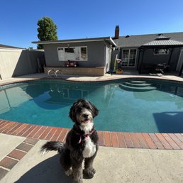 Bea enjoying her new pool Bea enjoying her new pool