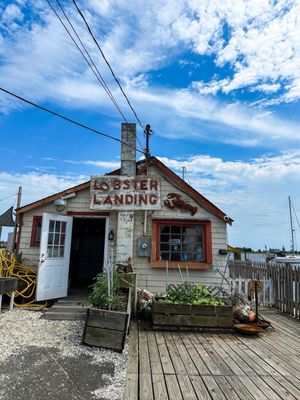 Lobster Landing by null