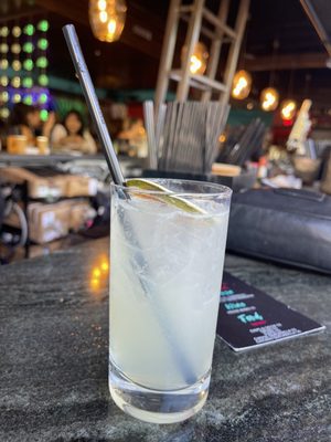 Agave Bandido by null