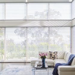 Shutters To Shades
