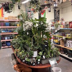 SymbiOp Garden Shop