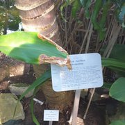 Foto zu Tropengewächshäuser des Botanischen Gartens - Hamburg, Deutschland