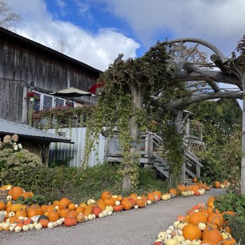 Pond Hill Farm - Cafes Near Me - Harbor Springs, Michigan Pond Hill Farm - Cafes Near Me - Harbor Springs, Michigan