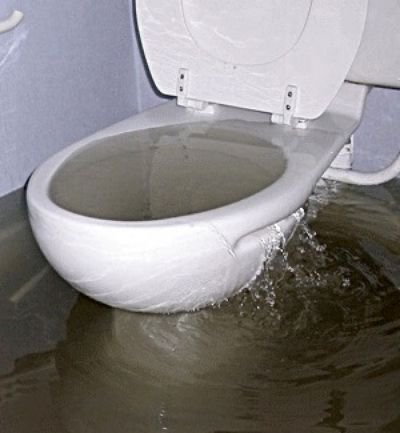 Slide of Cardinal Sewer And Drain