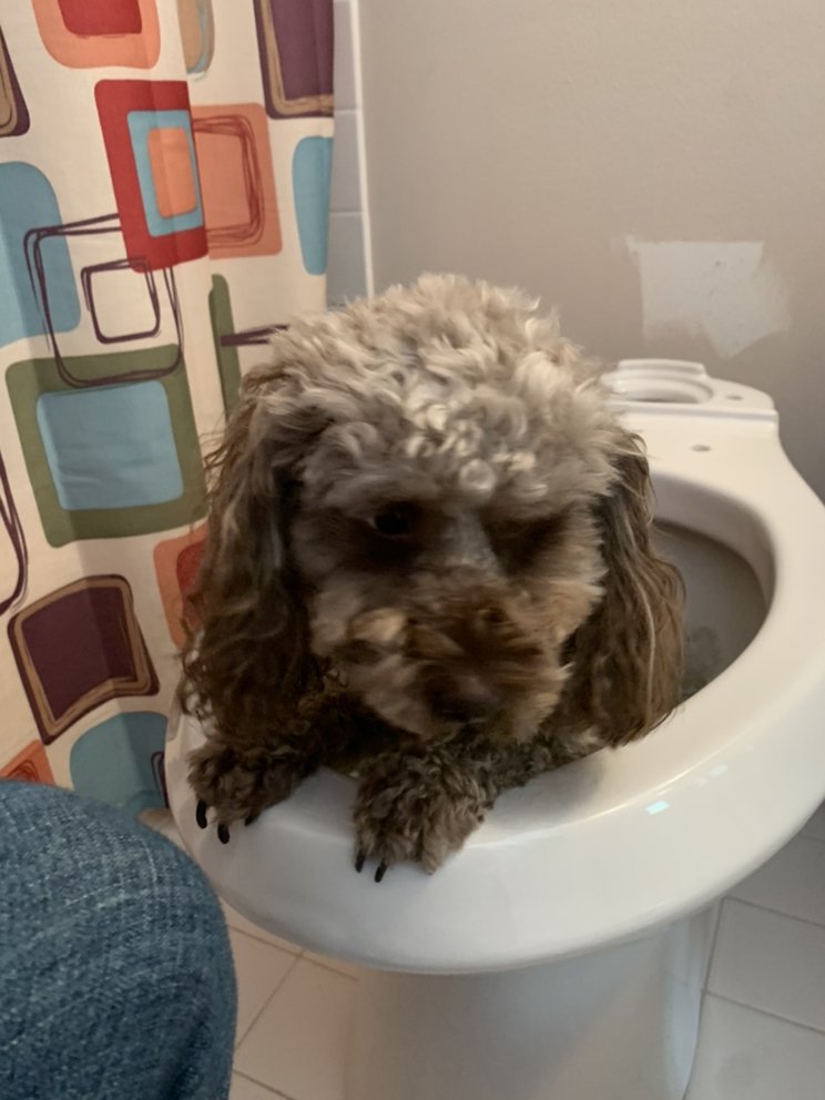 Slide of Lindenhurst Plumbing