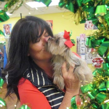 Barkberry Place - Pet Groomers Near Me - Fayetteville, Arkansas
