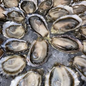 Taylor Shellfish Oyster Bar on Yelp