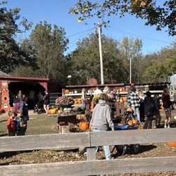 Shady Knoll Farm - Yard