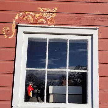Rosedale Farms - Cute kitty - Farms Near Me - Simsbury, Connecticut
