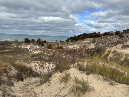 Warren Dunes State Park by null