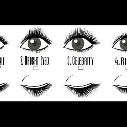 Forever Adorn Lash and Beauty Bar - Choose from our 4 lash styles!