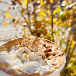 Squirrel Outdoors - Coffee pumpkin pie latte