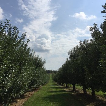 Evans Orchard & Cider Mill - Fruits & Veggies Near Me - Georgetown, Kentucky