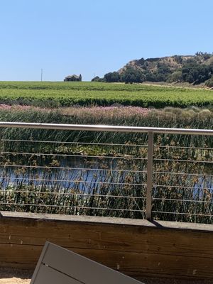 Wrath Wines- Winery Tasting Room by null