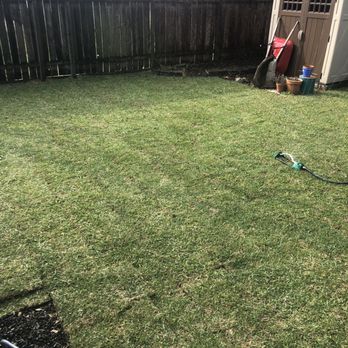 Houston Grass - Nurseries & Gardening Near Me - Rosharon, Texas