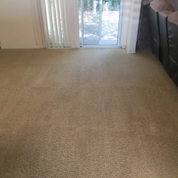 Can't believe it got this clean! We had black spots and pet accidents!!! Can't believe it got this clean! We had black spots and pet accidents!!!