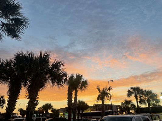 The Gulf by null