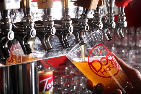 Dog Haus Biergarten by null