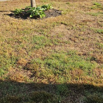 TruGreen Lawn Care - Tree Services Near Me - Suwanee, Georgia