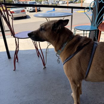 Zebra House Coffee - Coffee & Tea Near Me - San Clemente, California Zebra House Coffee - Coffee & Tea Near Me - San Clemente, California
