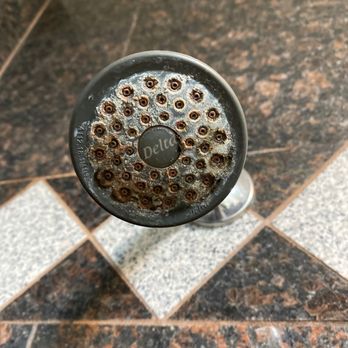 Monterey Surf Inn - Rusty and mold on the shower head - Hotels Near Me - Monterey, California Monterey Surf Inn - Rusty and mold on the shower head - Hotels Near Me - Monterey, California