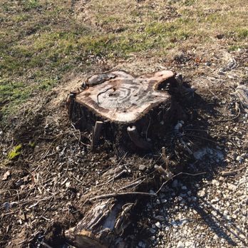 Key Stump Grinding - 18 inch stump - Tree Services Near Me Key Stump Grinding - 18 inch stump - Tree Services Near Me