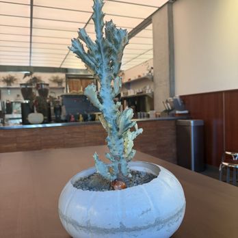 Kasama Cà Phê - Coffee & Tea Near Me - San Jose, California Kasama Cà Phê - Coffee & Tea Near Me - San Jose, California