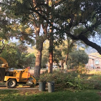 H & E Tree Service - Tree Services Near Me H & E Tree Service - Tree Services Near Me