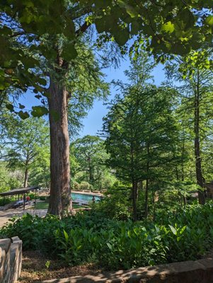 Krause Springs by null