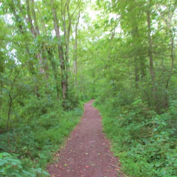 Pawtuxet River Trail - Hard to get through in places - Hiking Near Me - Cranston, Rhode Island Pawtuxet River Trail - Hard to get through in places - Hiking Near Me - Cranston, Rhode Island