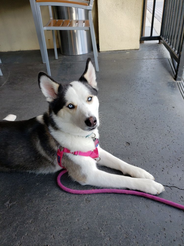 THE COFFEE BEAN & TEA LEAF CLOSED Updated May 2024 52 Photos & 75